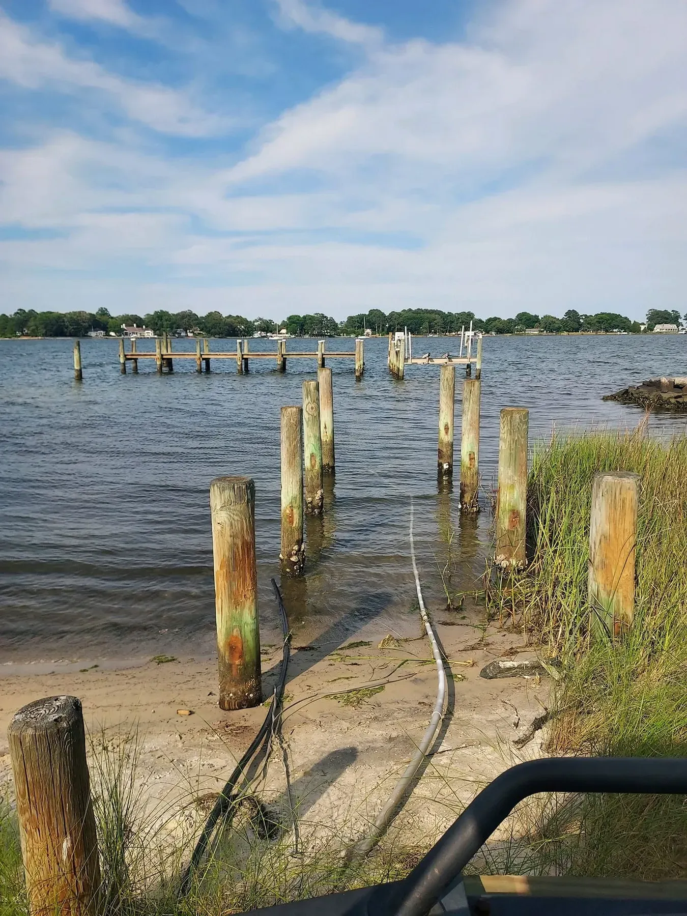 Weathered old pilings along a sandy shore